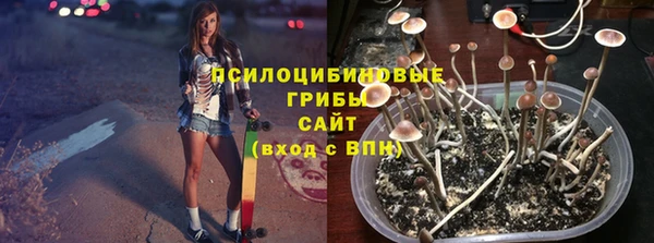 бутират Алексеевка
