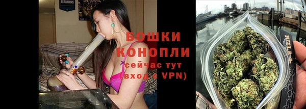 дурь Алзамай