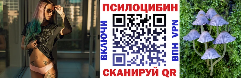 Псилоцибиновые грибы прущие грибы  kraken рабочий сайт  Анжеро-Судженск 
